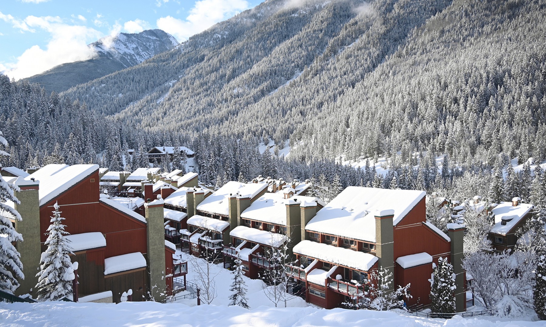 Panorama Ski Resort, Kanada Ski, Skifahren Rocky Mountains, Freeride, Heliski