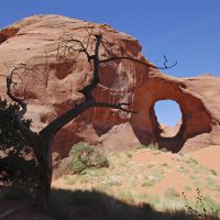 Motorradtour USA Monument Valley Big Sky Harley Davidson Big Twin Adventure Westküste