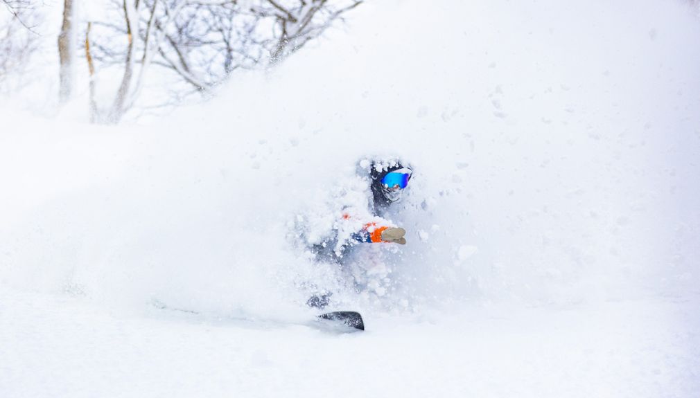 Der Tiefschnee auf der Skisafari Japan