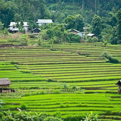 himalaya, nepal, motorrad, motorradreisen, touren, gruppenreise, rundfahrten, enfield, preiswert, günstig, Kathmandu, Gorkha, Pokhara, Annapurna, Beni, Mugling, Bandipur, Tatopani, Muktinath, Baglung, Lumbini, Bardibas, Tansen, Terai, Chitwan, Bhaktapur, 