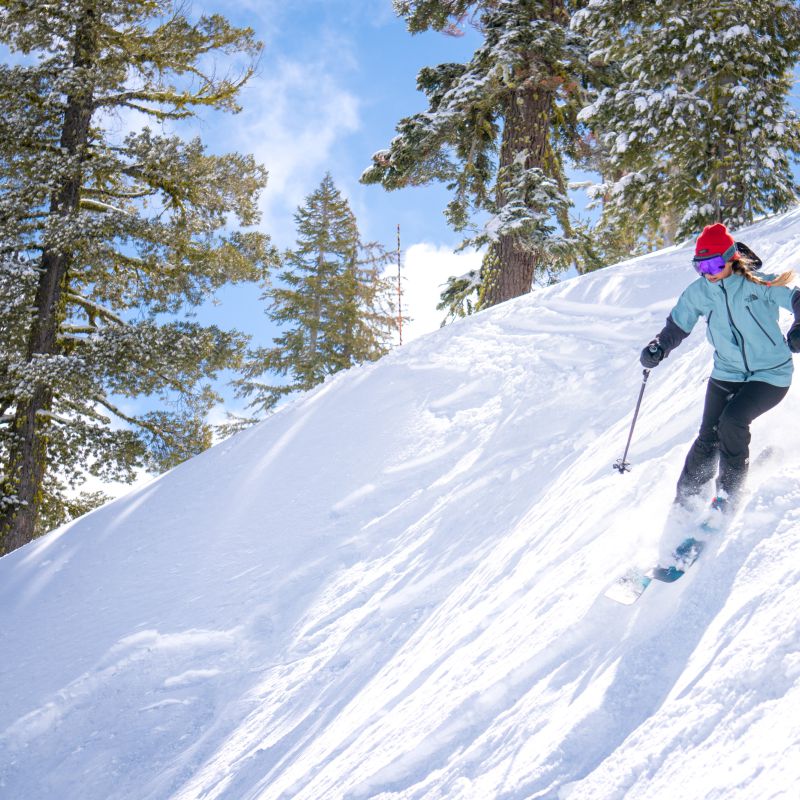 Ski & Snowboard