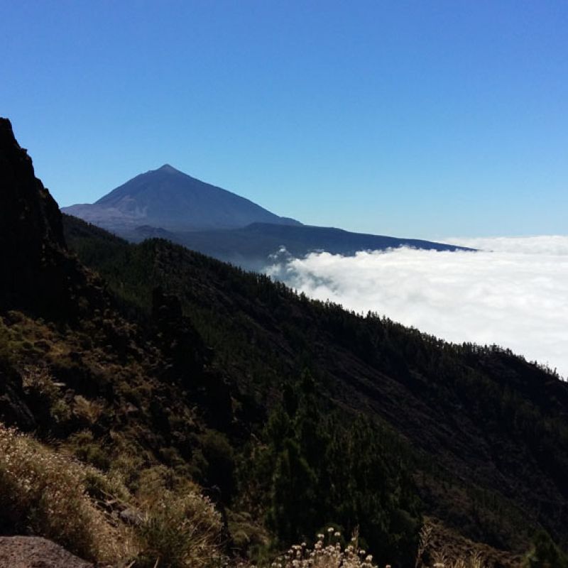 Motorradreise Teneriffa - Winter Escape Teneriffa, Spanien, kanaren, kanarische Inseln. motorrad, motorradreisen, touren, gruppenreise, rundfahrten, preiswert, günstig, santa cruz, mercedeswald, Los Angeles, Vilaflor, Orotavatal, Anaga, Teno, motorradfahren, Teide, la laguna