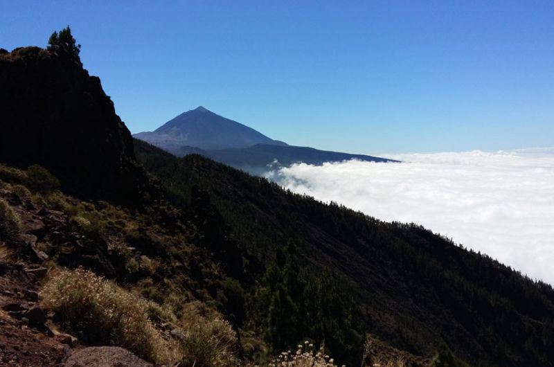 Teneriffa, Spanien, kanaren, kanarische Inseln. motorrad, motorradreisen, touren, gruppenreise, rundfahrten, preiswert, günstig, santa cruz, mercedeswald, Los Angeles, Vilaflor, Orotavatal, Anaga, Teno, motorradfahren, Teide, la laguna